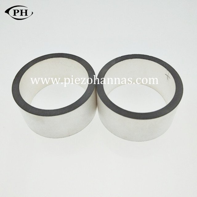 Pzt 8 Piezoelectric Ring Ultrasonic Piezoceramic Rings for Ultrasonic Cutting