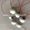 ultrasonic piezo sphere with hole for hydrophone 