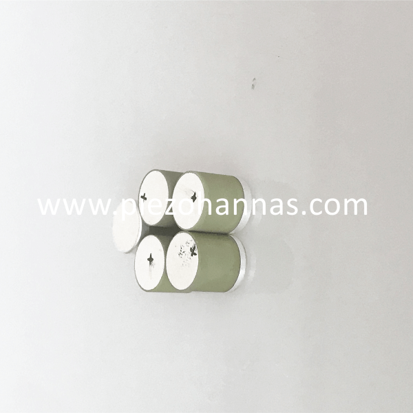 100 KHz Piezo Ceramic Column Piezo Ceramic Cylinder Piezoelectric Transducer