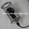 10Hz-70000Hz Spherical Hydrophone with Preamplifier for Sound Source