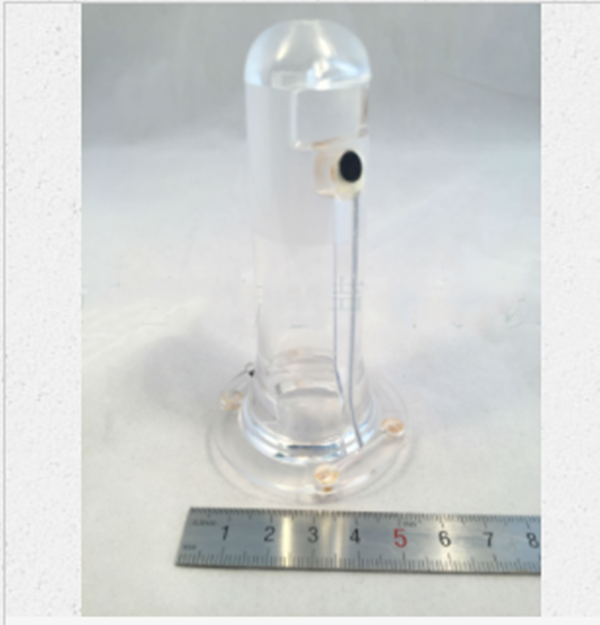 Custom 8Mhz Medical Ultrasonic Probe for Rectal Blood Flow 