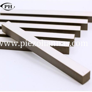 Piezoelectric Ceramic Plate Pzt Chip Electrode for Acoustic Technology 