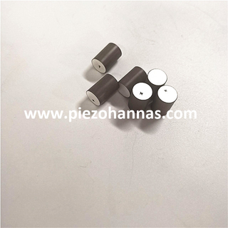 Pzt5 Material Stock 12.7*5mm Piezo Cylinder for NDT Transducer