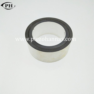Piezoresistive Pzt Piezo Ring Piezoelectric Transducer Crystals for Ultrasonic cleaner
