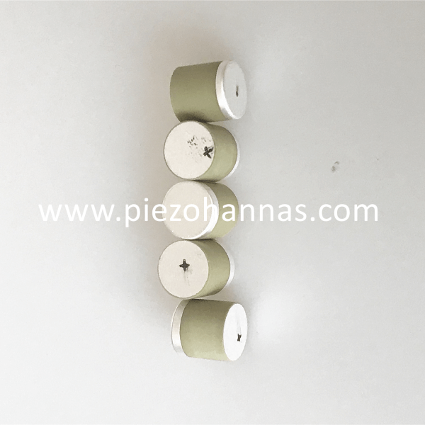 PZT-5 Material 8mm Column Piezoelectric Ceramic Cylinder 