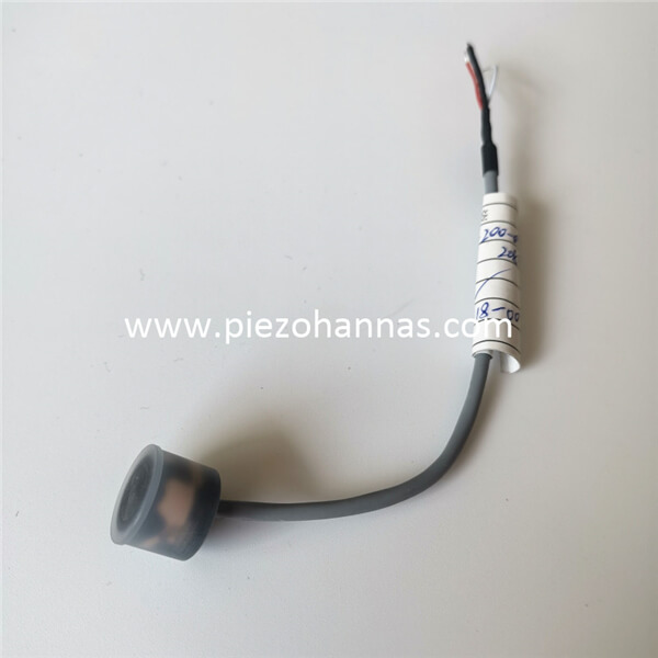 Custom PVDF Housing Piezoelectric Ultrasonic Transducer for Ultrasonic Level Gauge