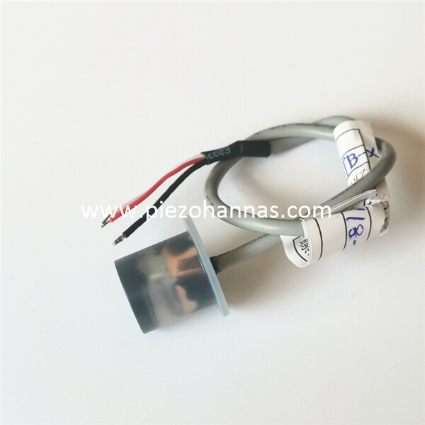 Custom PVDF Housing Ultrasonic Transducer for Ultrasonic Gas Flowmeter