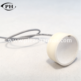 low cost spherical piezoelectric pickup piezo transducer datesheet