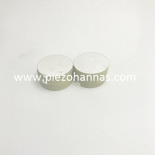 Pzt Ceramic Disc Piezoceramic Transducers for Sale for Backup Sensor