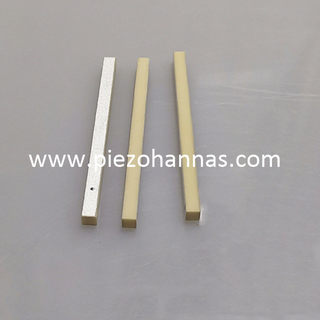 Silver Plating Piezoelectric Plate Ultrasonic Piezoceramic Components