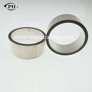 49mmx23mmx6mm High Quality Alumina Piezometer Rings for Transducer