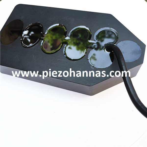 11 Beam Topographic And Geomorphic Scanning Transducer Ultrasonic Transducer for Ultrasonic Flowmeter