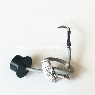 Custom Ultrasonic Transducer Piezoelectric Transducer for Ultrasonic Gas Flowmeter
