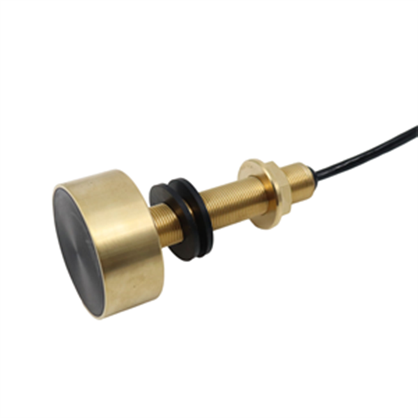 Underwater Ultrasonic Transducer Depth Measurement for Fish Detection