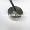 25KHz Stainless Steel Ultrasonic Transducer for Ultrasonic Flowmeter