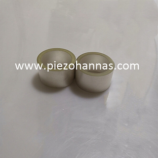 Custom All Size Piezo Ceramics Cylinder for Acoustic Sensors