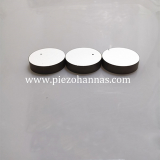 Thickness Polarization Piezoceramic Discs Bimorph for Ultrasonic Motors