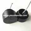 Traductor cu ultrasunete de 50KHz pentru anti-coliziune cu ultrasunete