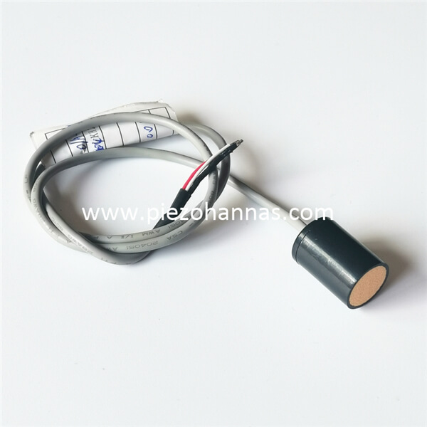 Custom Ultrasonic Range Transducer Piezoelectric Transducer for Ultrasonic Anti-collision