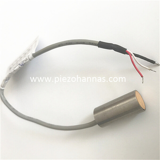 200Khz Stainless Steel Ultrasonic Transducer for Gas Flow Measurement 