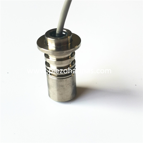 Custom Titanium Alloy Ultrasonic Transducer for Gas Flow Measurement
