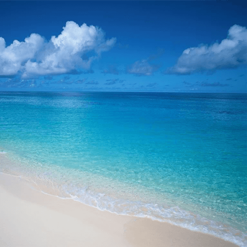  I Finally Tried Piezoelectric Ceramic Sensor For A Week And This Is What Happened.