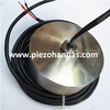 40KHz Ultrasonic Transducer Downhole Drilling Transducer for Downhole Sensors