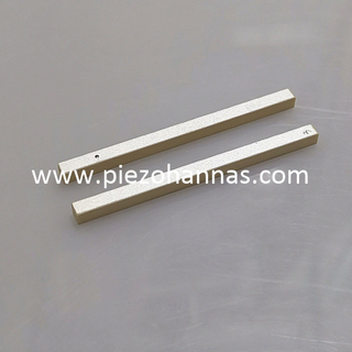 Silver Layer Electrodes Piezo Ceramic Blocks for Vibration Sensor