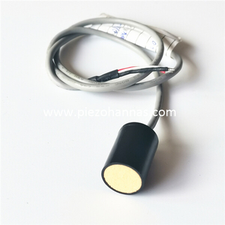 200KHz Ultrasonic Transducer for Ultrasonic Anemometer Sensor