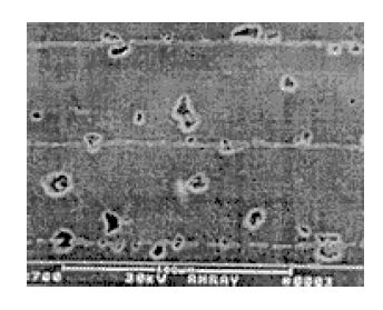 KRH%56L3TJP8IYA(89PX