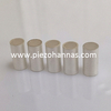 Customs Piezo Ceramics Poling Piezo Ceramic Tube Component