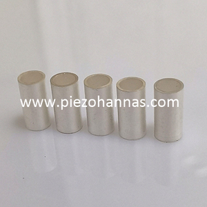 Customs Piezo Ceramics Poling Piezo Ceramic Tube Component