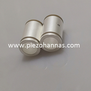 Sensitive Piezoelectric Ceramic Cylinder Transducer Prices