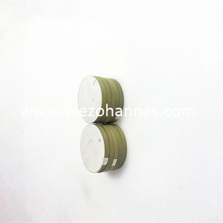 Pzt5 Peizoelectric Discs Ceramic Transducer for Ultrasonic Measurement