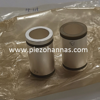 Stock Pzt Ceramic Tube Piezo Ceramics for Acoustic Arrays 