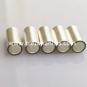 Pzt5 Material Piezoelectric Tube Transducer for Fish Finder